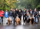 Chow-Chow Spaziergang in Duisburg - Foto: Stephan Eickershoff / FUNKE Foto Services